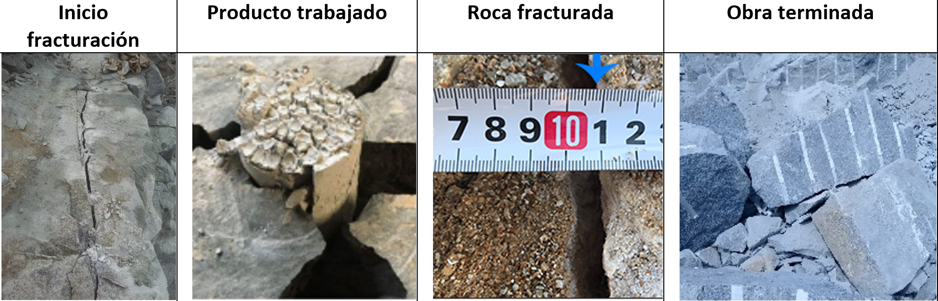 Resultados